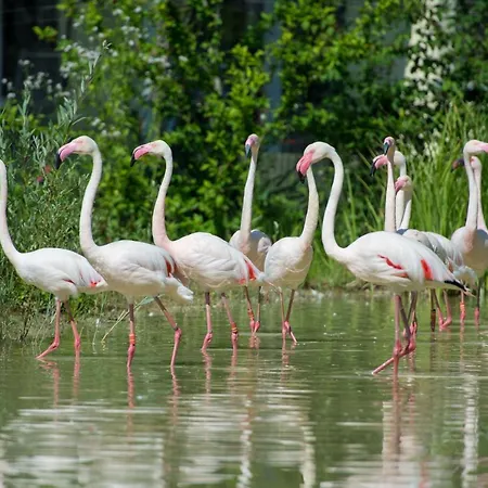 Hotel Restaurant Florida 3*