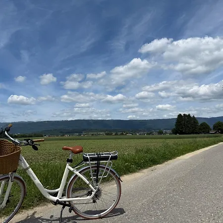 Restaurant Florida 3* Studen