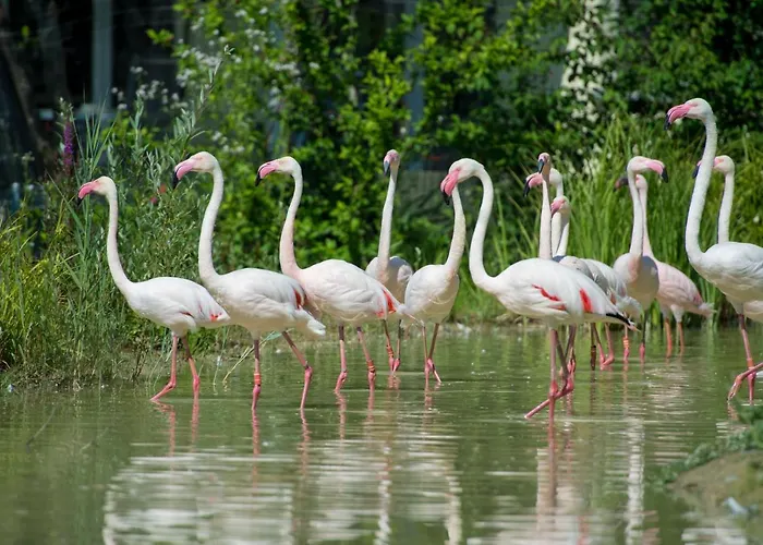 Hotell Restaurant Florida 3*