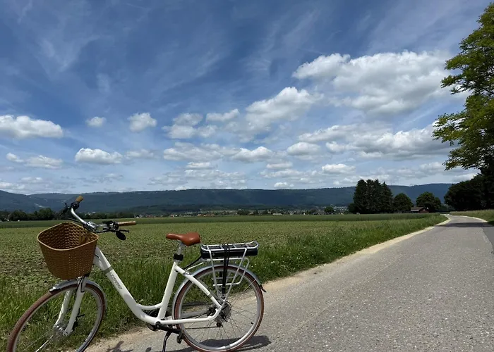 Restaurant Florida 3* Studen